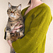 Dawn Cardigan pattern 
