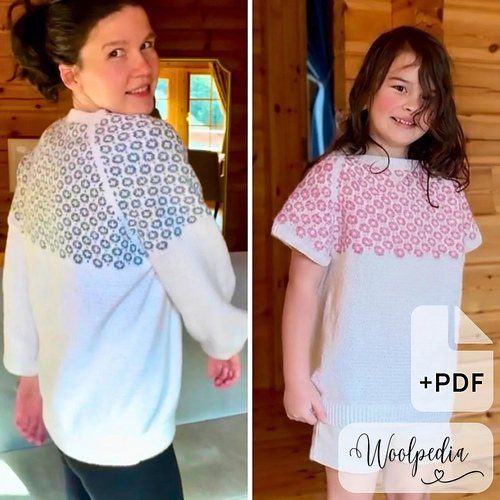 Chalet Sweater / Shirt