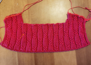 Taking a photo is a surefire way to spot errors. (sigh) I think I can duplicate stitch that into submission.