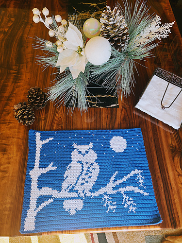 Snow Owl Placemat