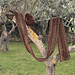 Olive Oil Scarf photo 2