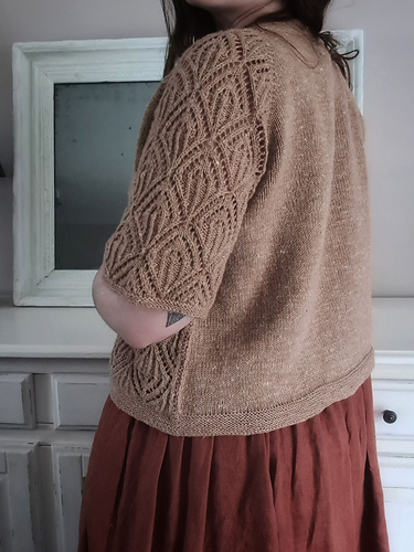 Poecile photo 7