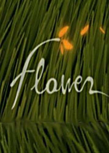 Flower photo 6