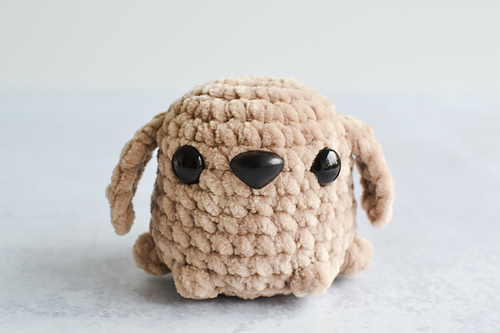 Pocket Pup photo 6