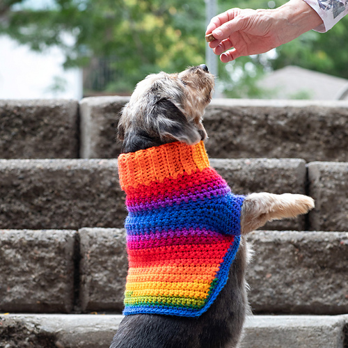 Pup's Favorite Sweater photo 2