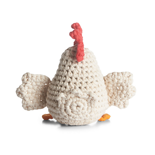 Henrietta the Chicken photo 2