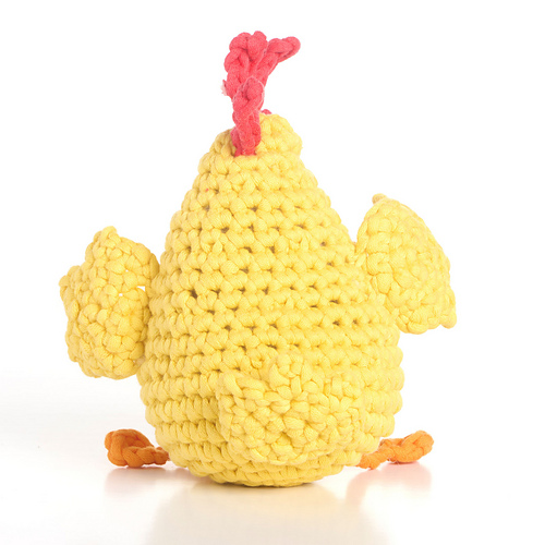 Henrietta the Chicken photo 6