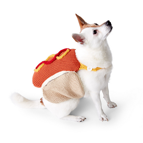 Ravelry Hot Diggity Dog Coat pattern by Yarnspirations Design Studio