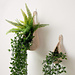 Hanging Planter Pods pattern 