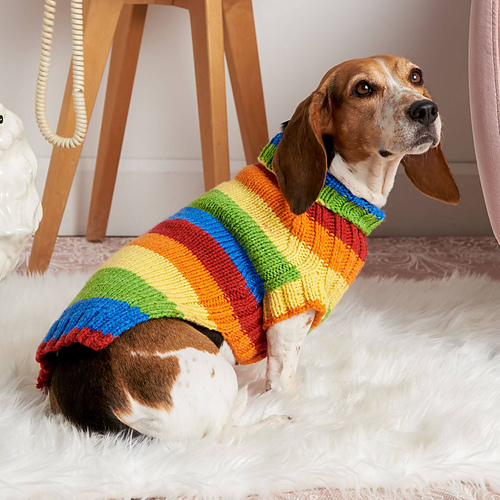 Let's Go Rib Dog Sweater photo 1