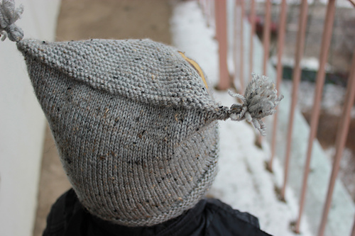 Where Owls Fly photo 4