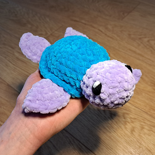 Turtle photo 3