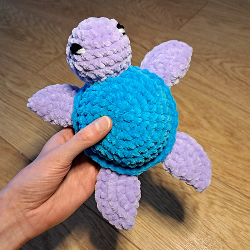 Turtle photo 4
