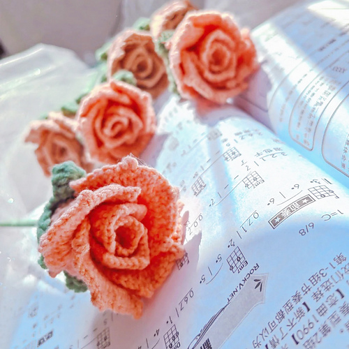 Cappuccino Rosé - Yui Sun