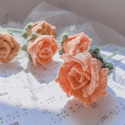 Cappuccino Rosé - Yui Sun