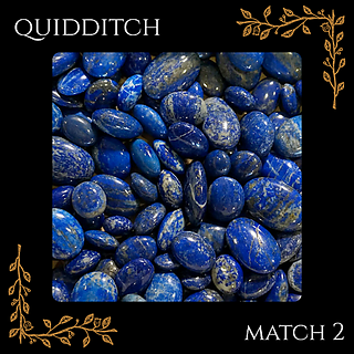 Quidditch Match 2 Fall 2025