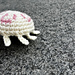 Moon Jellyfish - a sophisticated jelly pattern