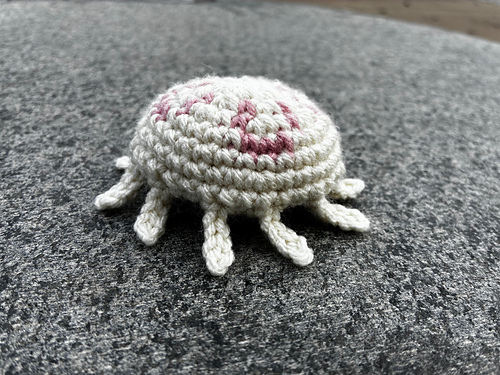 Side view of white and pink moon jellyfish
