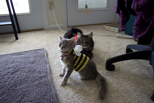 Bumblebee Kitten Costume photo 2