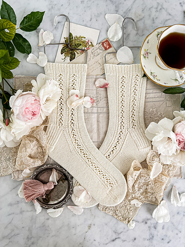 Frontispiece Socks