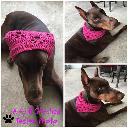 Meandering Paw Prints Pet Scarf photo 10