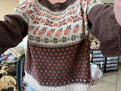 Finished and fits!:partying_face::heart::smile: