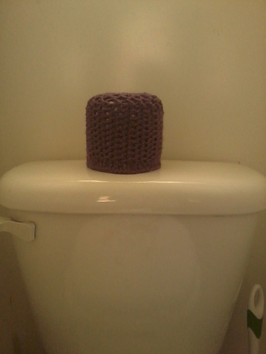 Toilet Paper Cozy photo 3