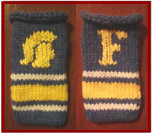 Twilight New Moon Eclipse inspired Ipod socks photo 3