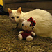 Ami Hello Kitty pattern