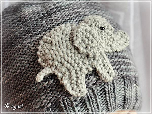 Woollyphant photo 5