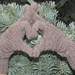 Very Basic Dancing at Lughnasa Gloves pattern 