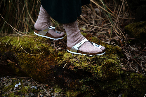 Splinter Socks