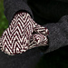 Zigma Mittens pattern