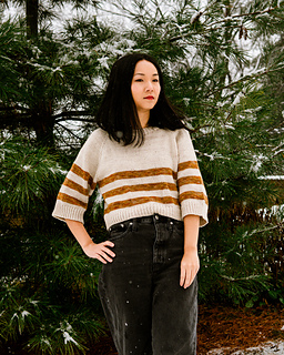 Ravelry: Coloring Book Raglan pattern by Aimee Sher