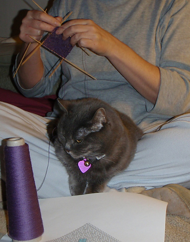Lucy's Gift photo 2