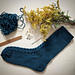 Alizée Socks pattern 