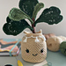 Fiddle Leaf Fig pattern 