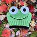 Cheeky Frog Hat pattern 
