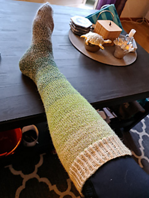 Enkel Knäsocka