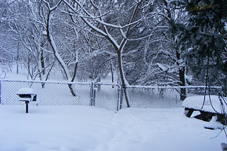 -5°F and -26 windchill! It was no picnic out there.