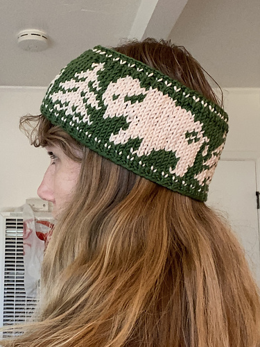 Lamar Valley Headband