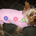 Side Button Down Dog Sweater pattern 