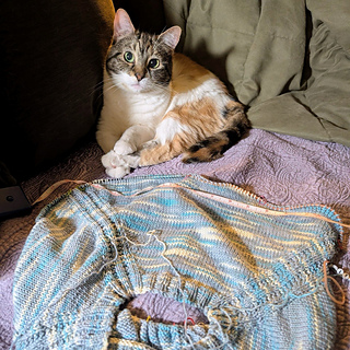 Patches confirmed that the top is knitting up to the correct size.