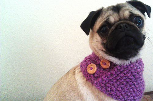 The Triangle Cowl for Tiny Creatures photo 11