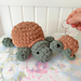 Turtle Duo pattern