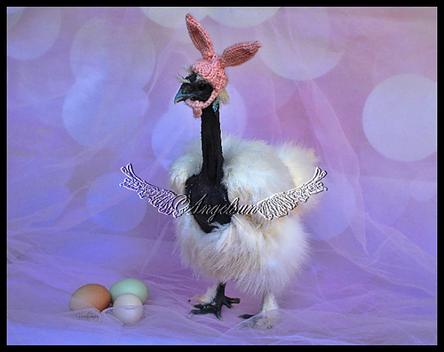 Gretchen's Bunny Hat (Chicken Hat) photo 2