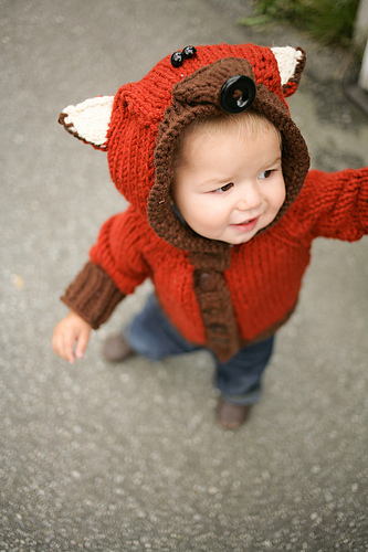 Willy den slu foxen - annahunter