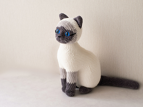 Siamese cat
