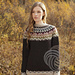 Afmæli 20-year Anniversary Sweater photo 3