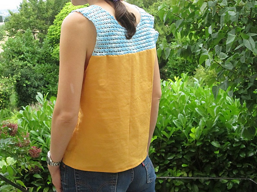 ginkgo photo 2